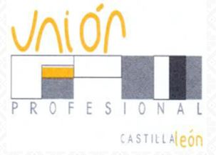 union profesional 26 diciembre